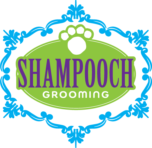 Shampooch Grooming